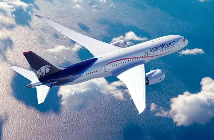 空中“最靓的仔”很像猫，高举的尾巴显英豪