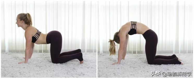 小腹赘肉怎么减食谱,小腹赘肉怎么减徒手