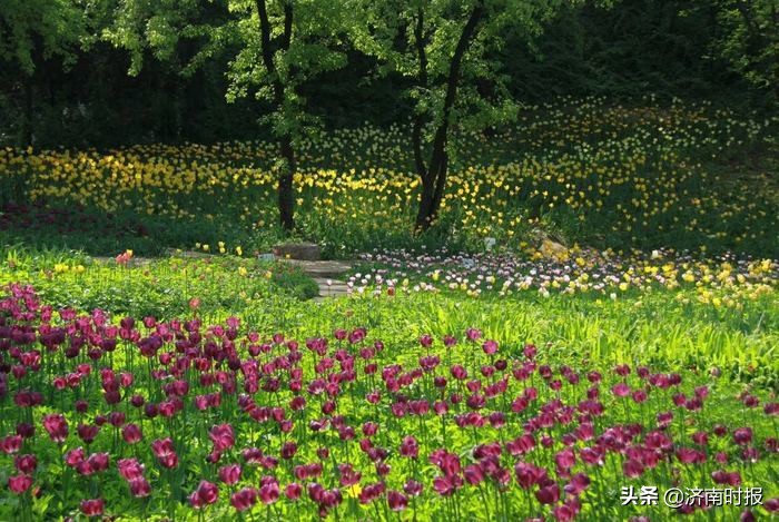 济南的旅游景点周六日免费,国际博物馆日北京免费
