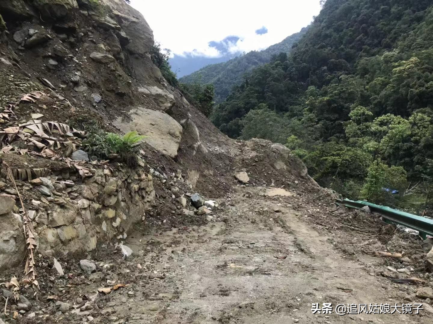 穿越到原始森林里面,穿越原始森林来种田