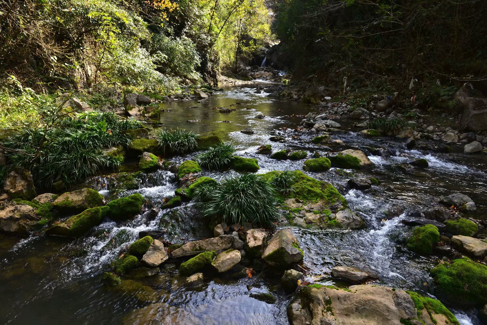 四川山清水秀的村庄,四川十大最美丽乡村
