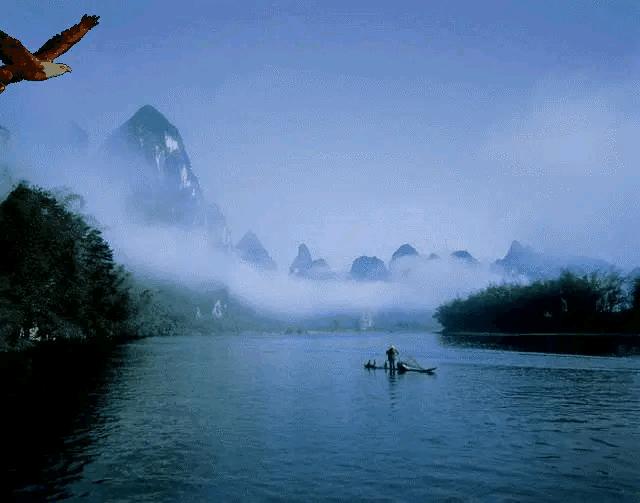 大自然山水花鸟大全,回归自然山水花鸟