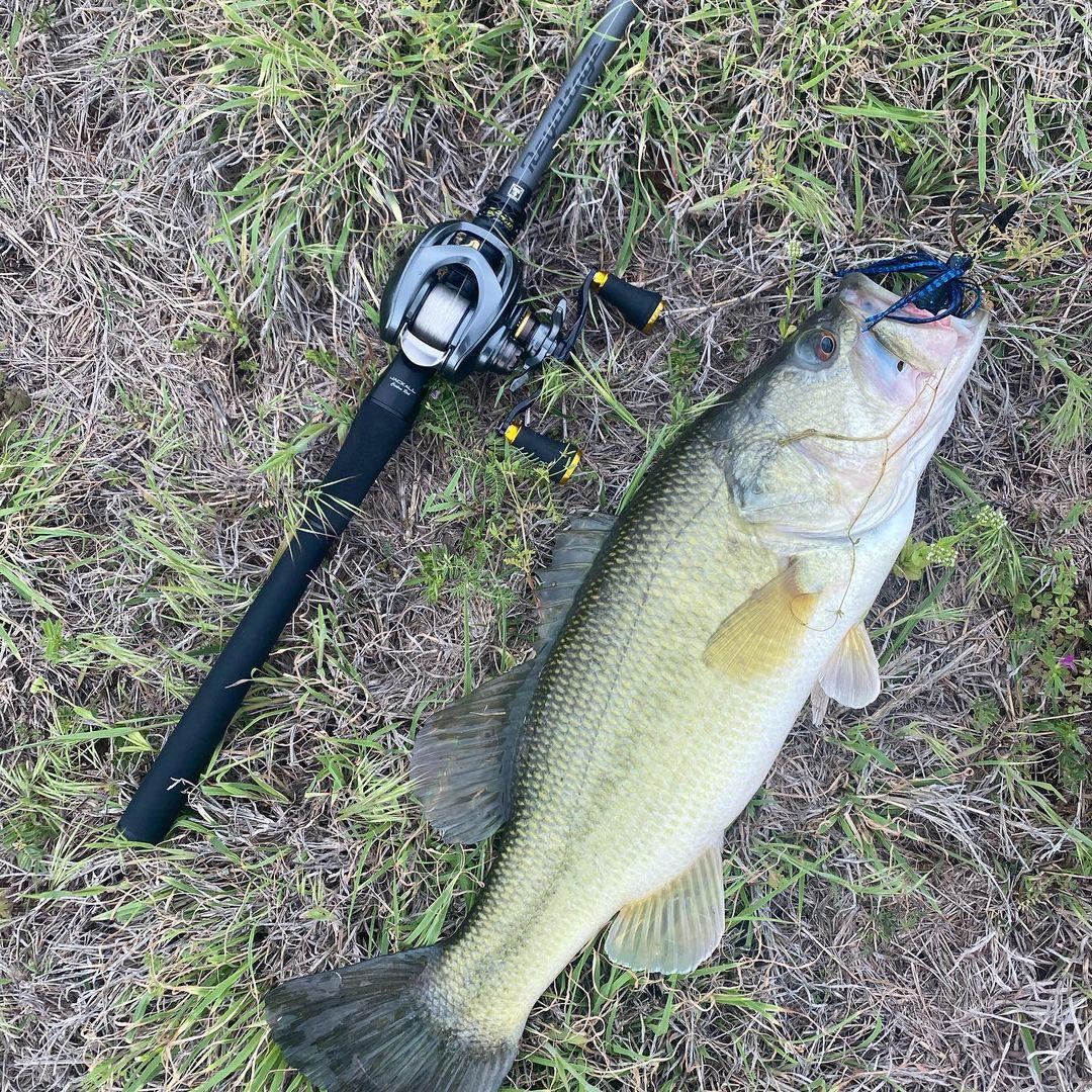 水滴轮需不需要调机械刹车,水滴轮如何调整泄力
