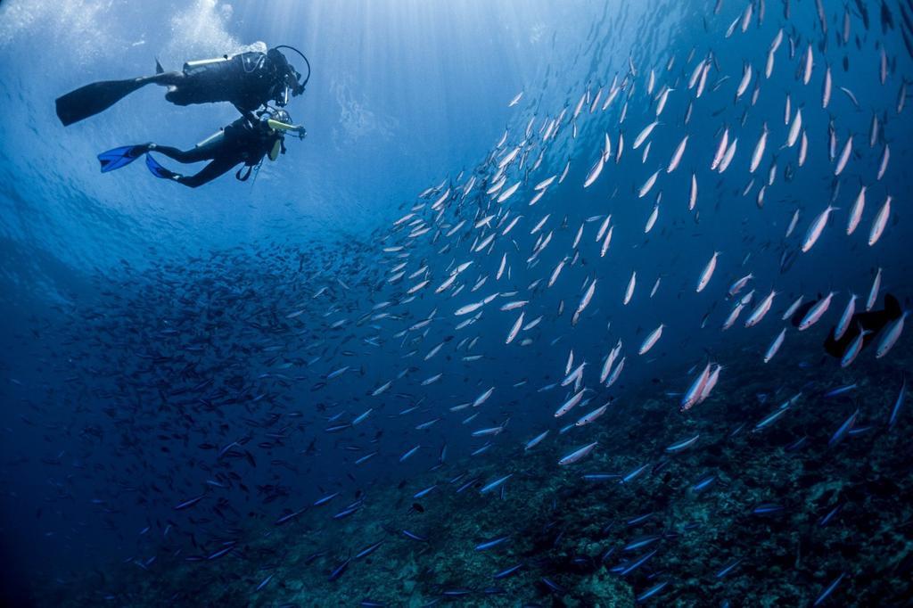 马尔代夫海龟岛2019,海岛旅行珊瑚岛