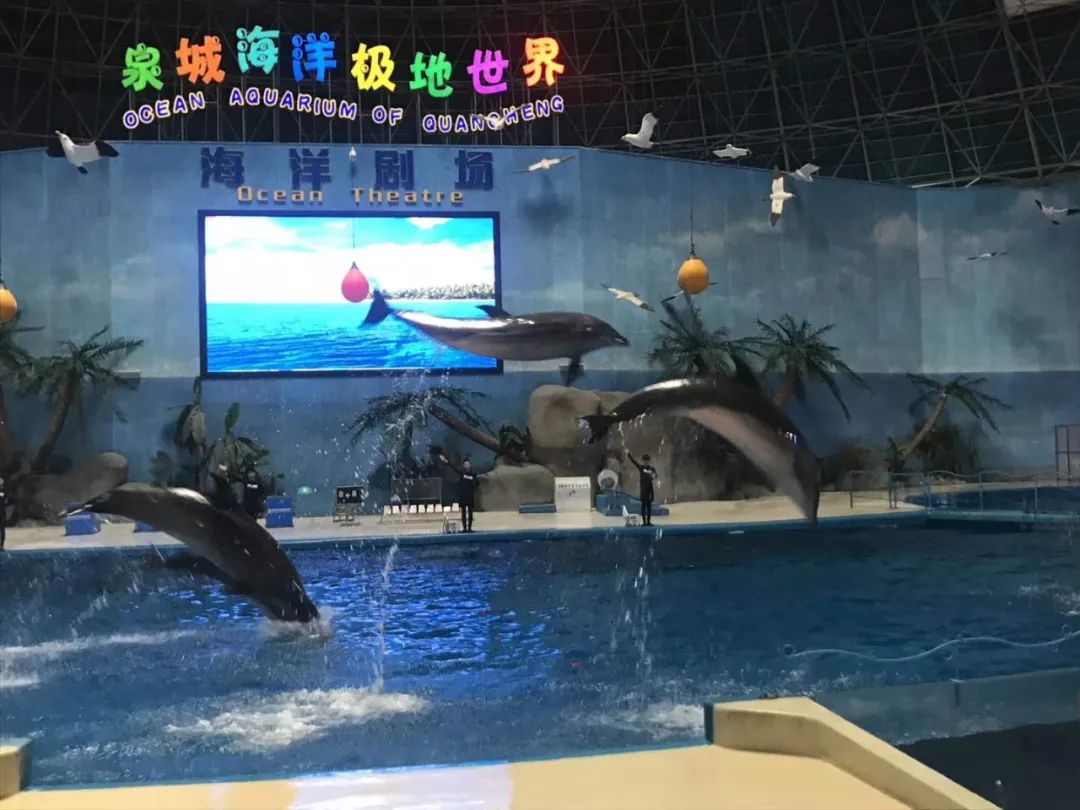 春节假期济南适合儿童玩的地方,济南亲子游玩必去十个景点