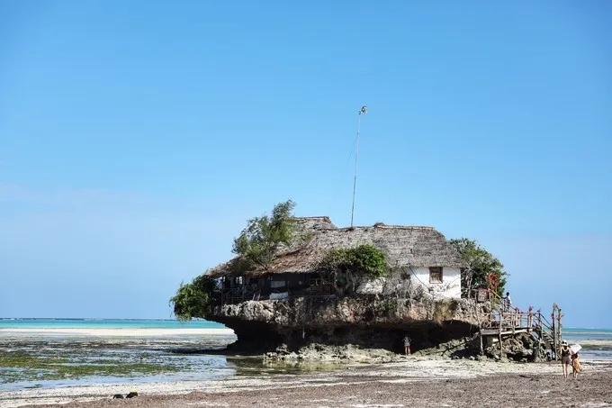 坦桑尼亚之旅,坦桑尼亚东非草原
