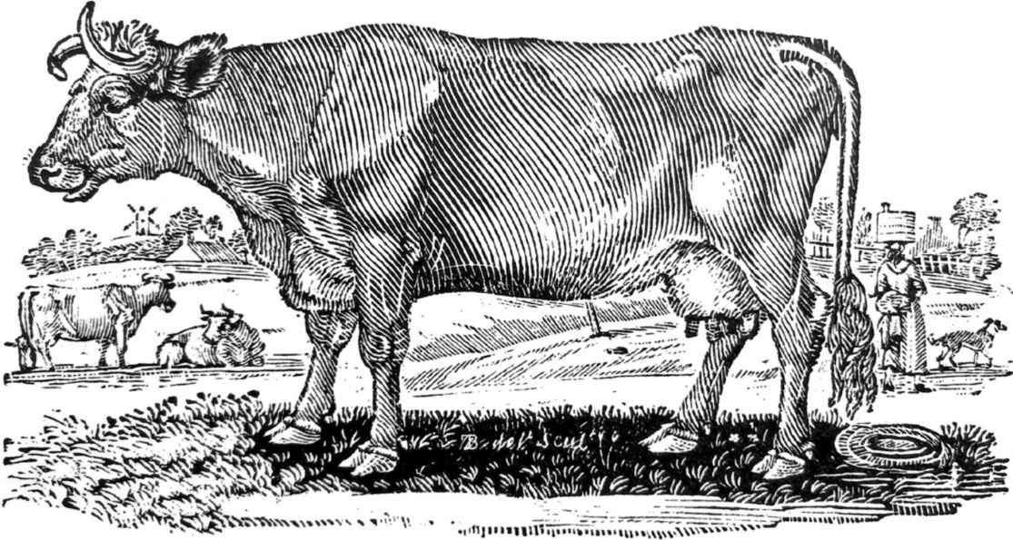 醒醒吧，仙女也拉不出粉红色的屎！让我们聊一聊，屎是怎么来的