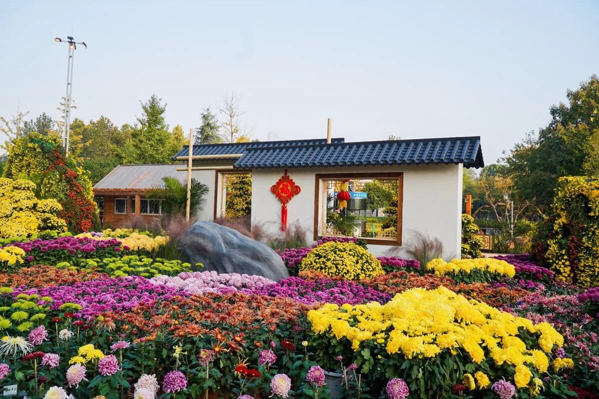 武汉市第40届菊展分展点,武汉市第三十五届金秋菊展