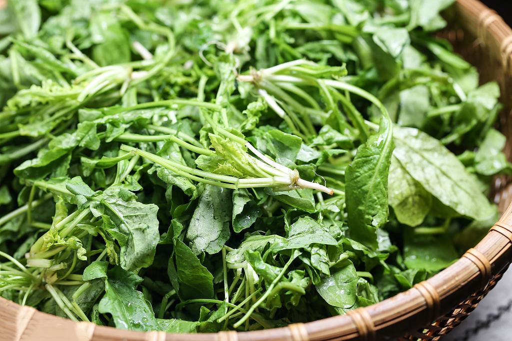 惊蛰节气养生小妙招,惊蛰节气养生小知识大全