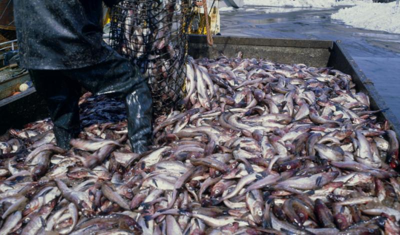 视界网带你深度解析,视界网知识大全