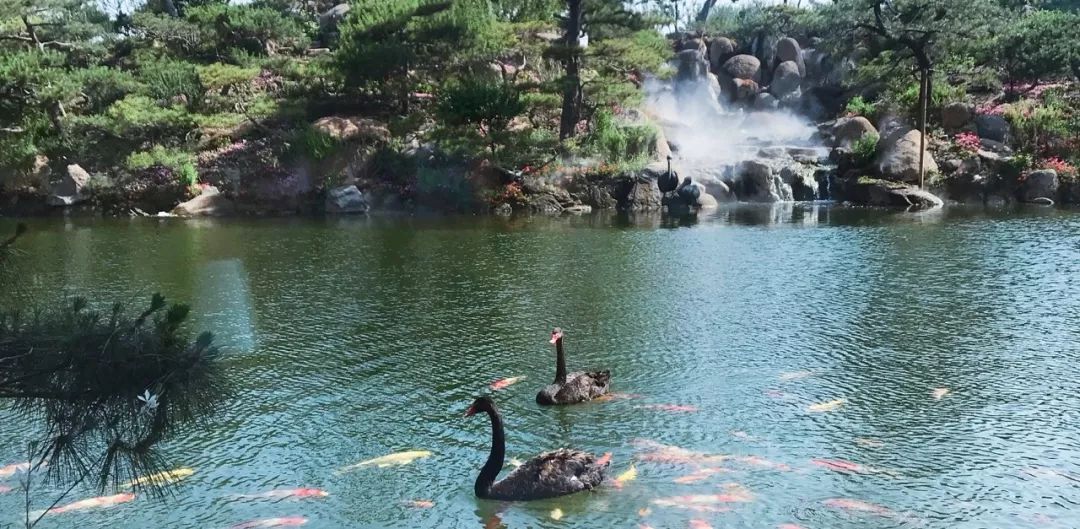 品牌公关是做什么的呢,品牌公关营销案例