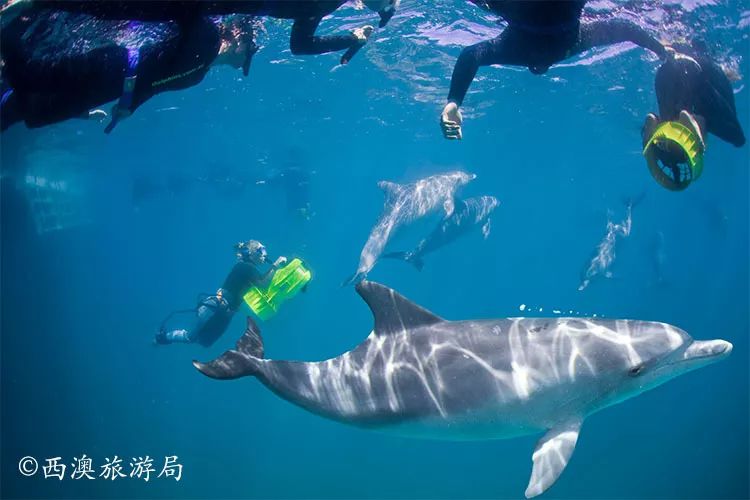 汇率起起伏伏，自然旅行跟着这张表格走，最划算