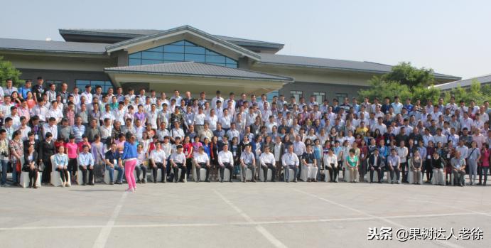 樱桃树如何正确种植,樱桃好吃树难栽真的就这么难么