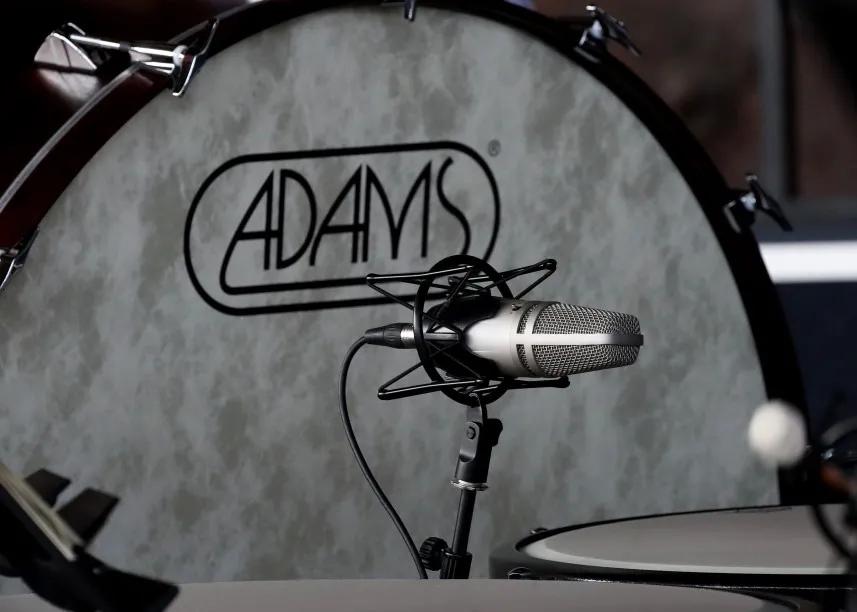 鐧惧勾椋庡崕灞辨渤渚濇棫,鐧惧勾椋庡崕灞卞窛閿︾唬