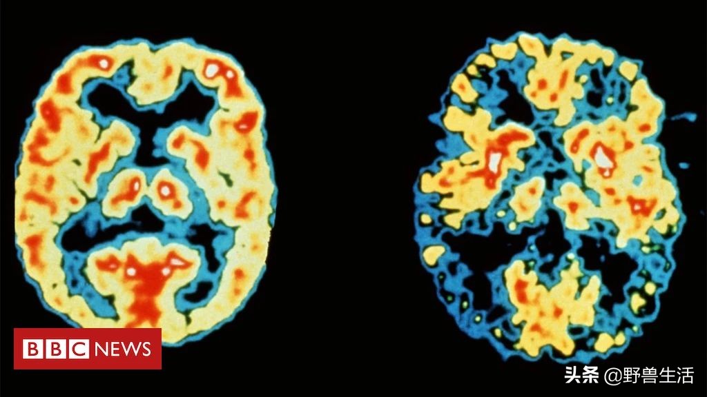 研究表明喝咖啡的好处,研究表明喝咖啡最好时间段