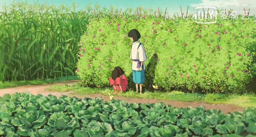 新手宠物推荐平价猫粮品牌,宠物猫粮品牌排行榜成年猫