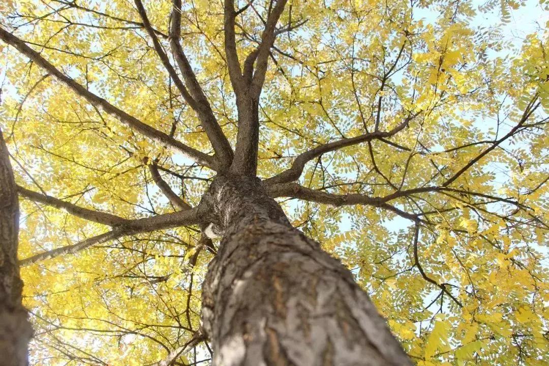 和青春不期而“榆”!榆林职院是你梦想起航的地方!