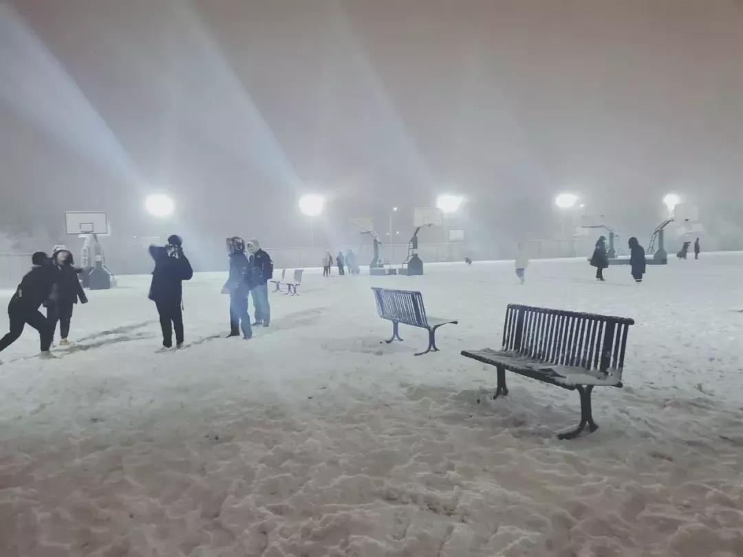 辽宁中医药大学杏林学院独立学院,辽宁中医药大学三个校区