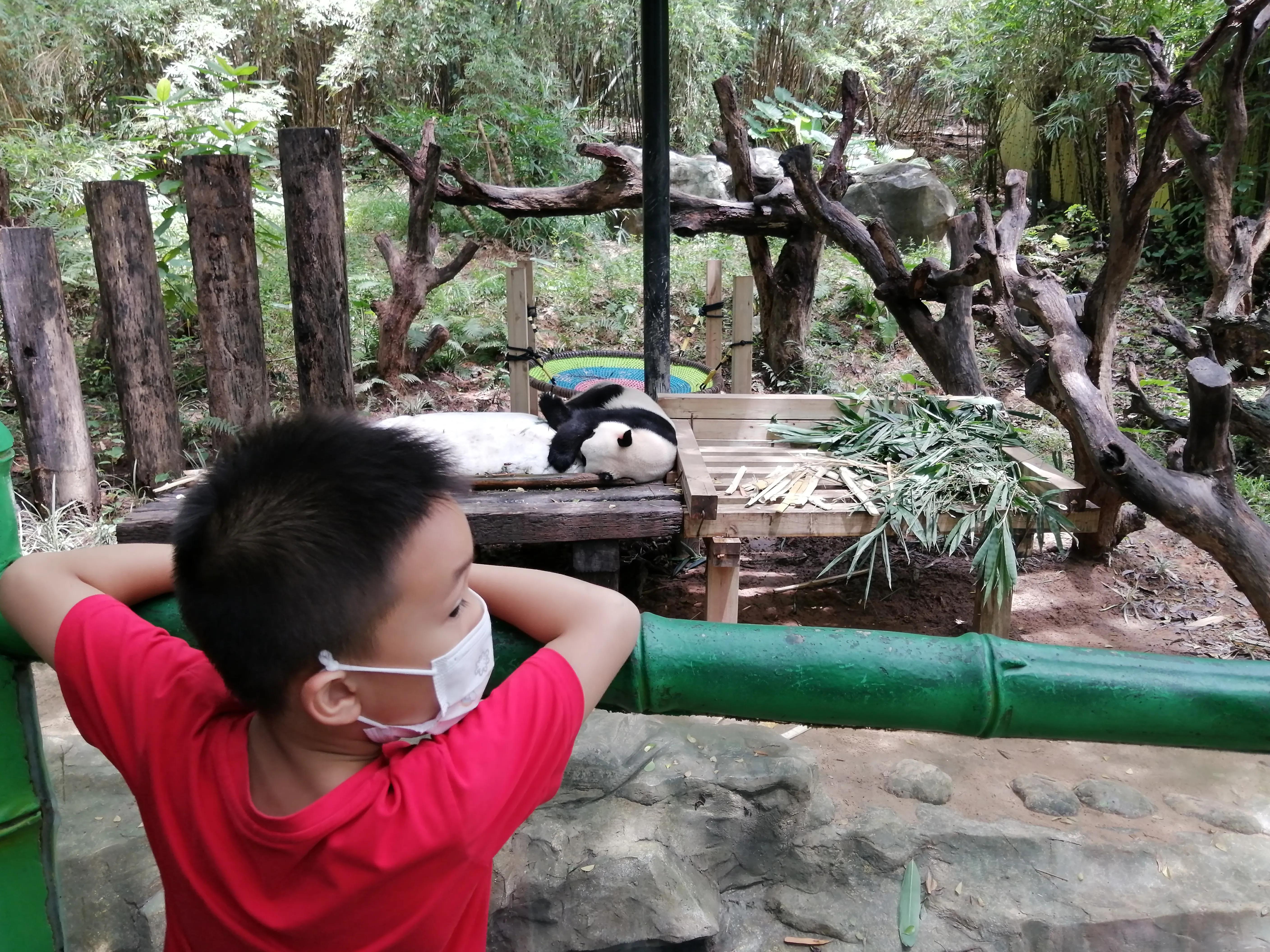 长隆野生动物世界广州攻略,长隆野生动物世界攻略南门北门