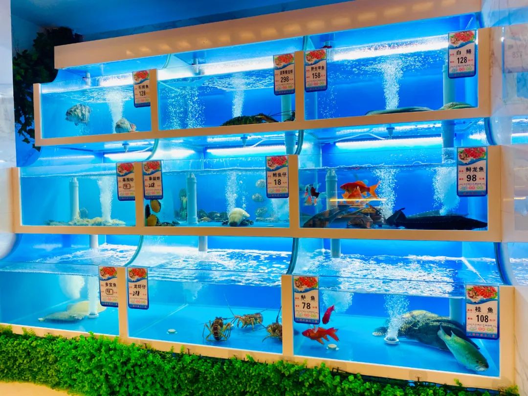 从2003年的水上大塘到现在，郑州的南边终于有店啦