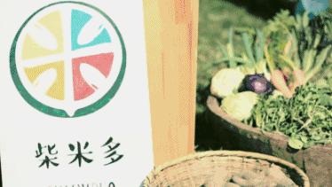 他在大理租下23个足球场大的地方，种菜、养牛、建农场日子过成诗