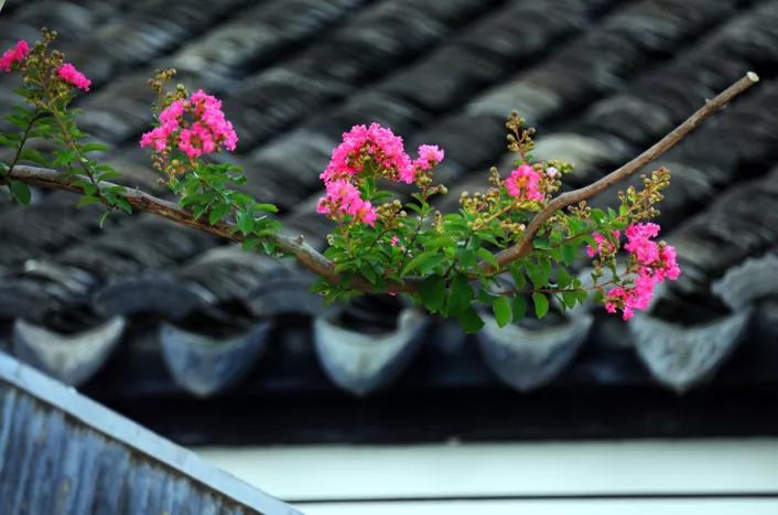 蚌埠城南新建不夜城,引爆旅游市场