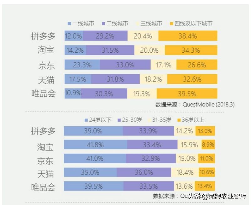 拼多多逻辑深度解析,拼多多深度剖析