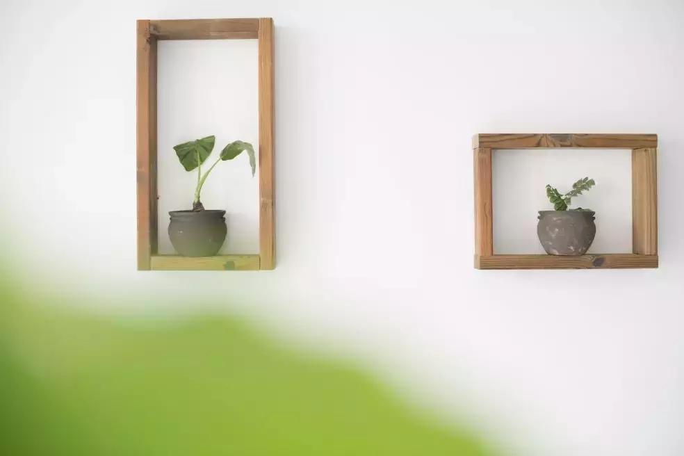 性价比极高的民宿推荐,民宿超推荐让你置身世外的感觉