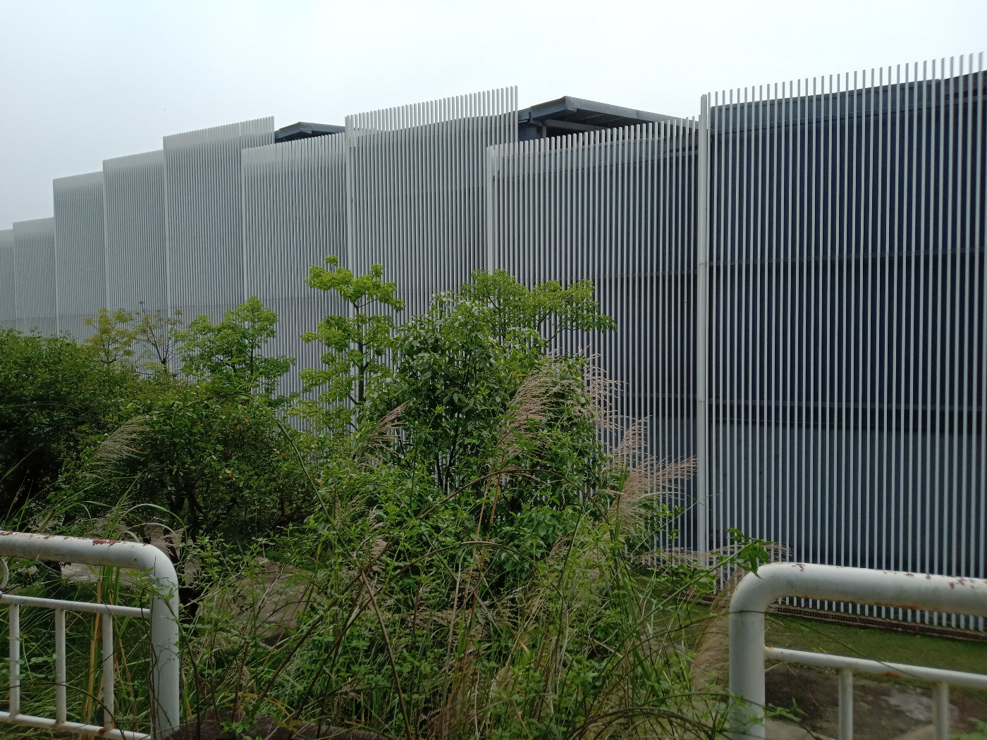 福州大学就像一座大公园，风景美到爆！最美的世界一流学科院校