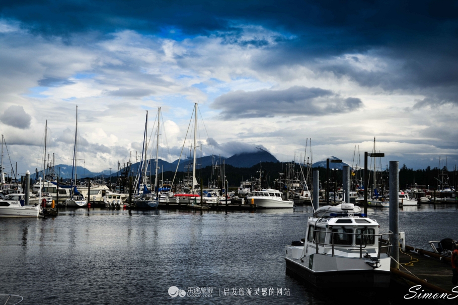 阿拉斯加：男人和三文鱼都赶来配种的“*灯区红**“