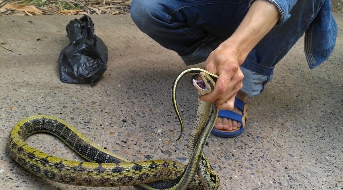 这个*局骗**已盯上钓鱼佬，被骗一次好几千，多人中招防不胜防