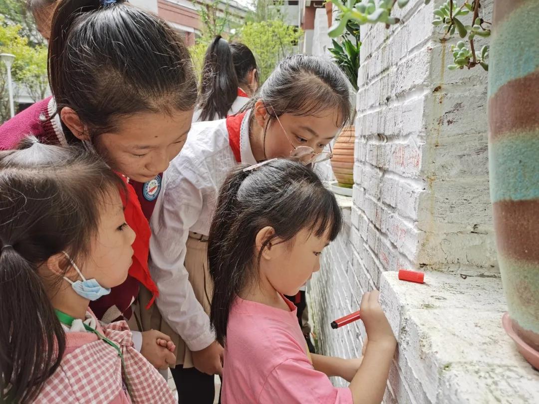 天府新区华阳小学：校园那么美，萌娃来打卡