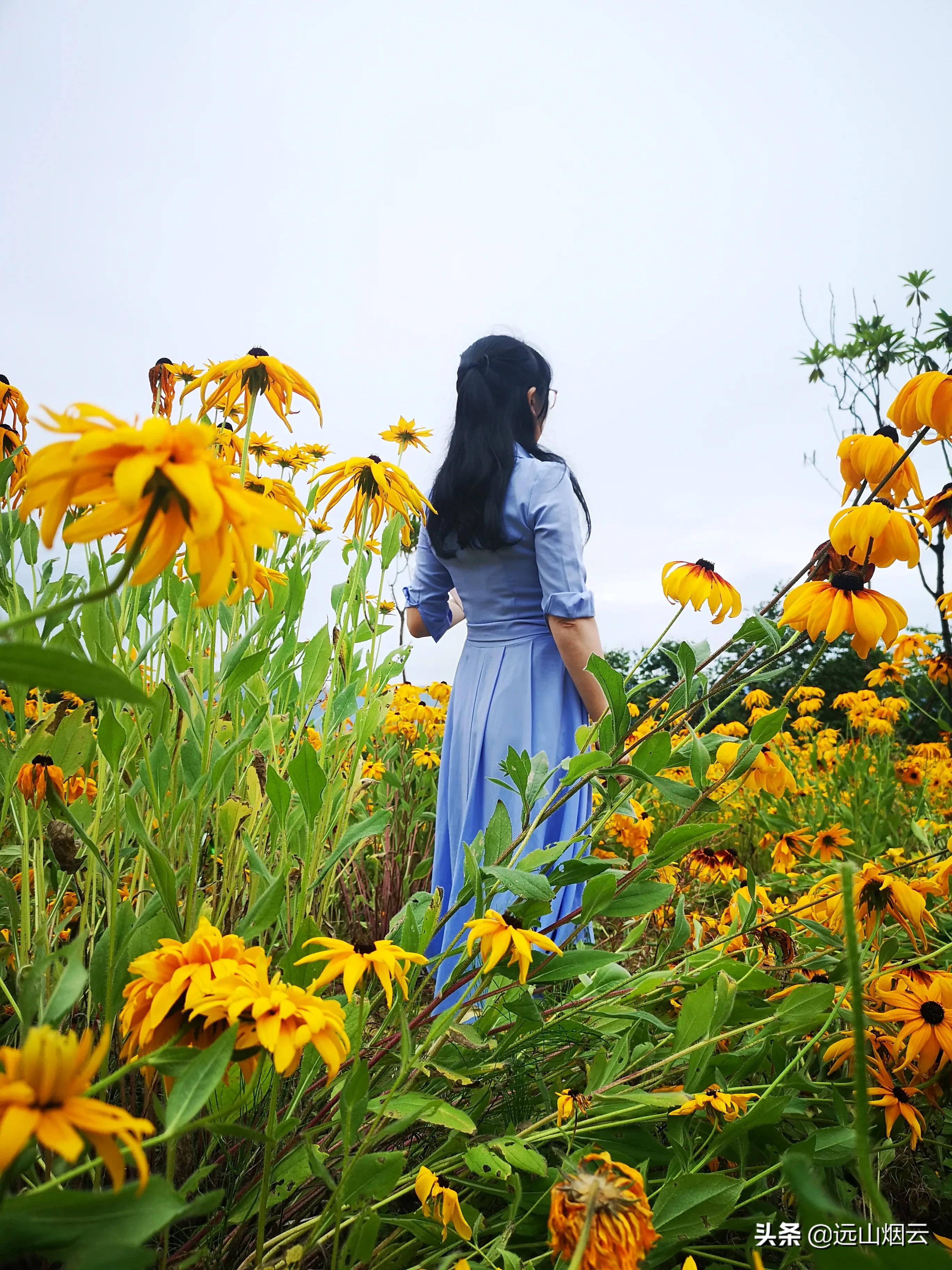 三个方法拍照,自己用自拍杆如何拍照不露杆