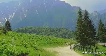 985冷门专业还是普通大学热门专业,哪些冷门专业好就业最有前景