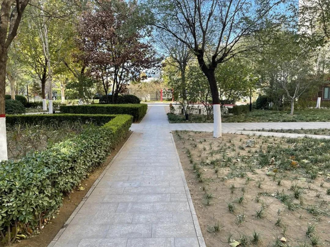 被低估的五个低价潜力股,被低估的三款三十多万的车