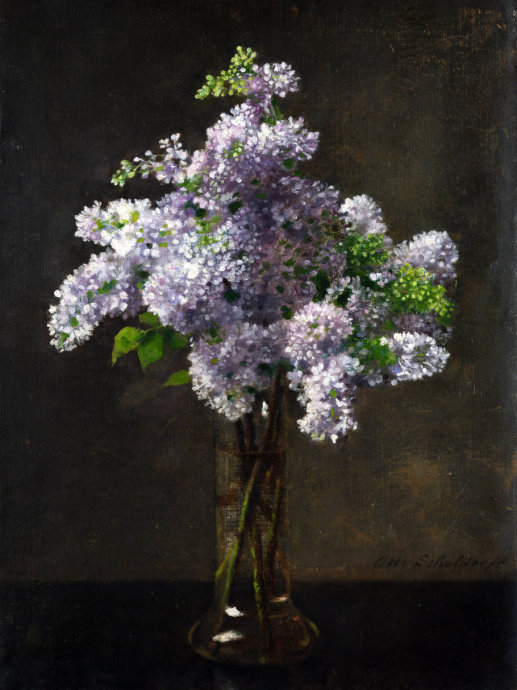 二十张惊艳的鲜花图片美图欣赏,好看的鲜花绝美图片