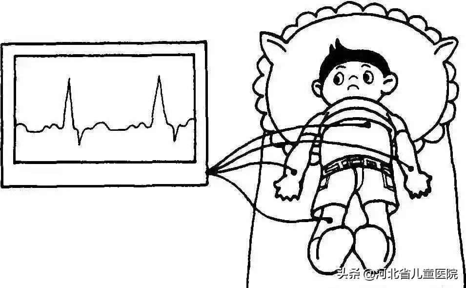 我的心脏砰砰跳400字作文,我的心脏砰砰跳儿歌