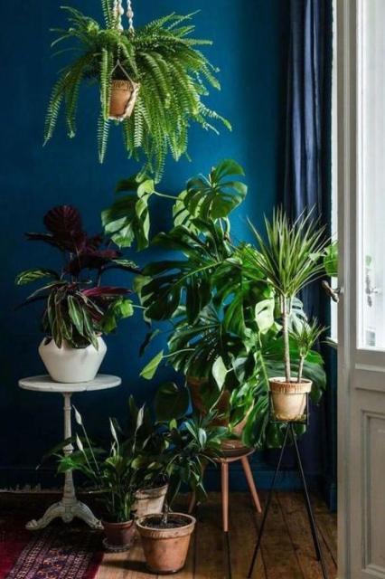 家中有异味还总是散不掉怎么办？学会这6招，轻松去除家中异味