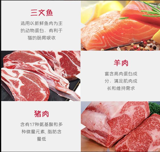 如何选高质量狗粮品牌,怎么选便宜狗粮品牌呢