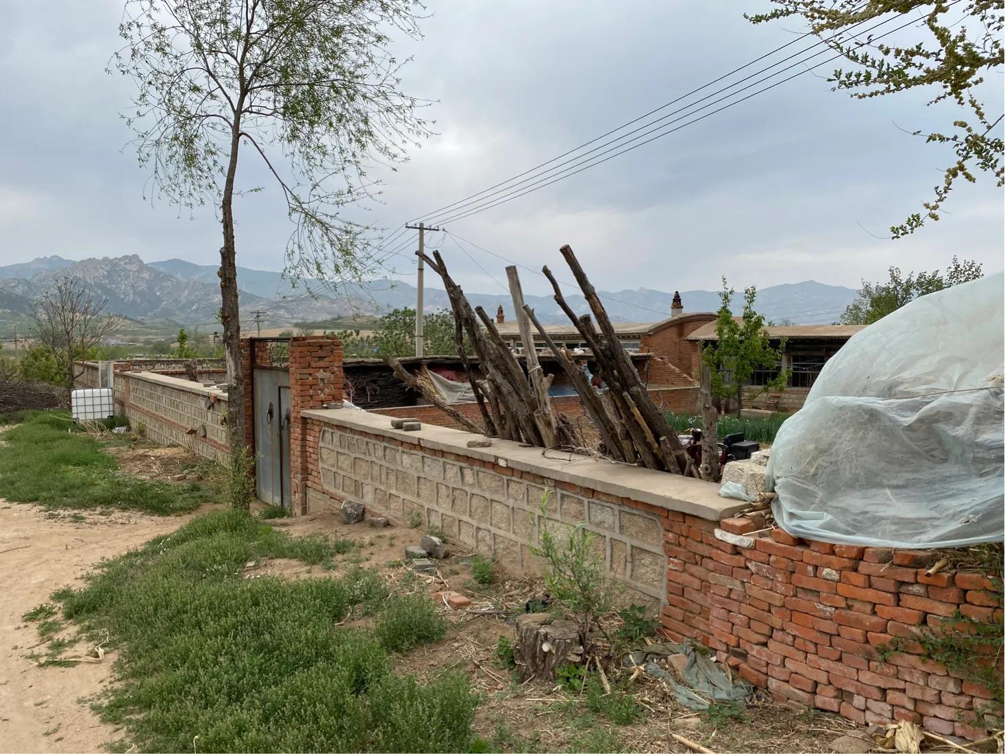 【7/5】30、走进北镇庙后朱屯我家老院