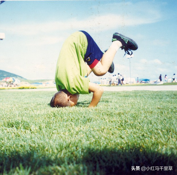 好客山东青岛旅游攻略,好客山东浪漫青岛
