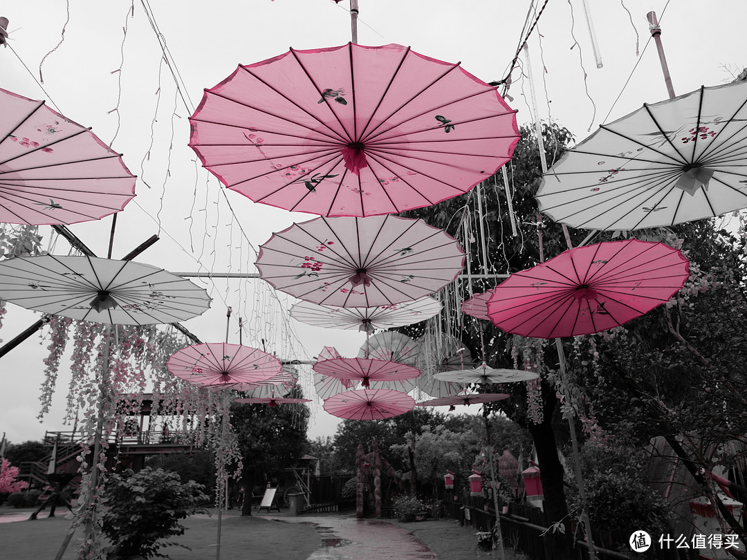 徕卡leicad-lux7相机测评,徕卡leicad-lux5测评