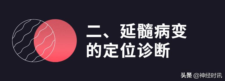 脑干解剖,脑干神经解剖