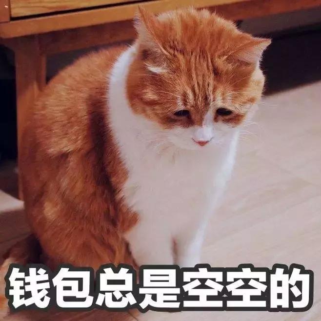 为什么这“一块板子”成了小红书、淘宝爆款？