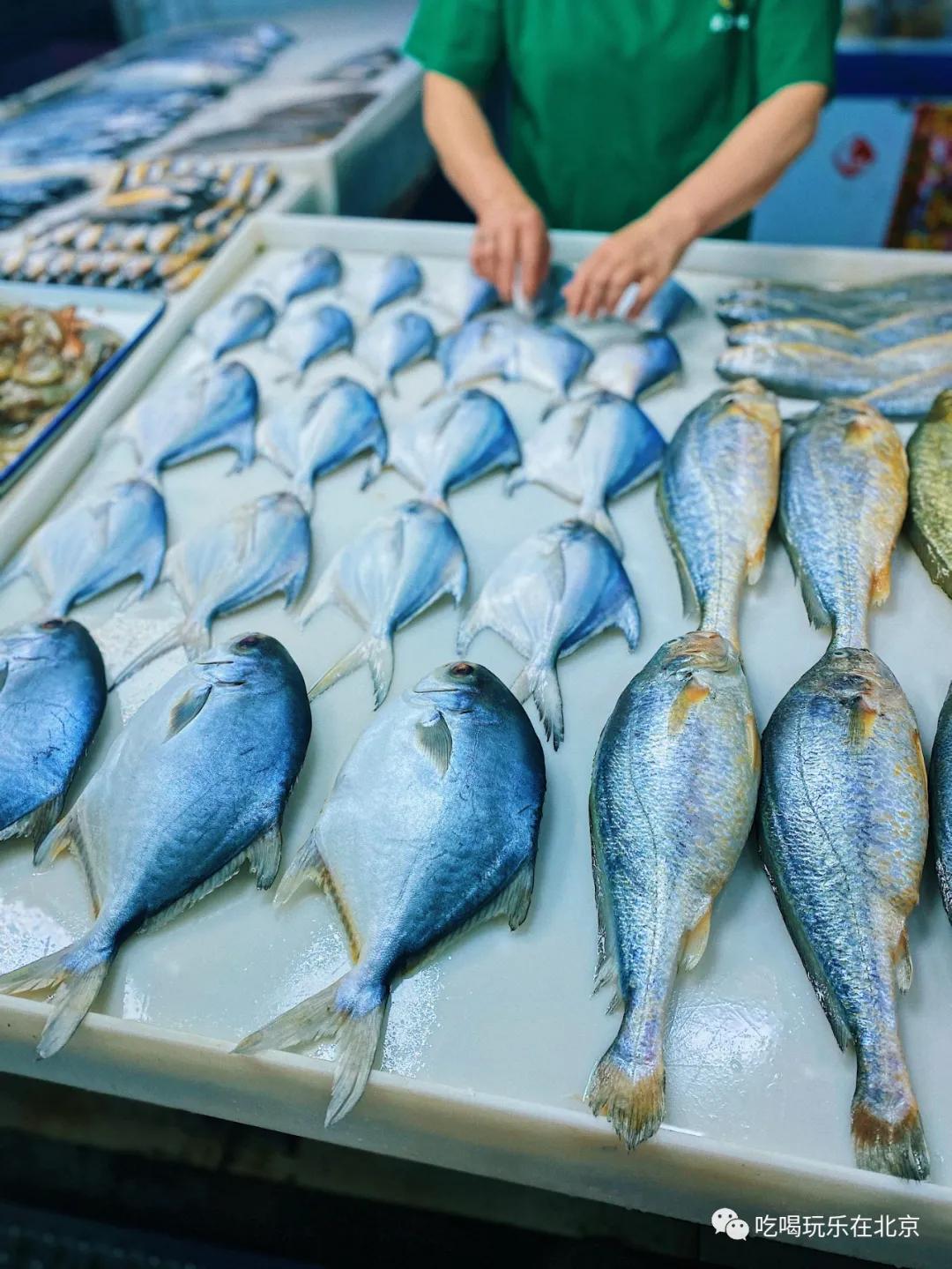 朝阳区海鲜市场,北京朝阳区海鲜市场