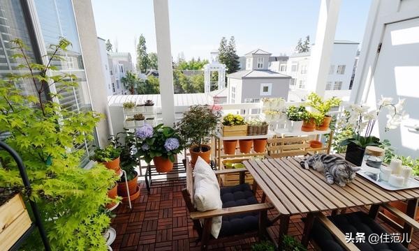 40平米阳台花园打造方法,阳台打造花园效果图大全