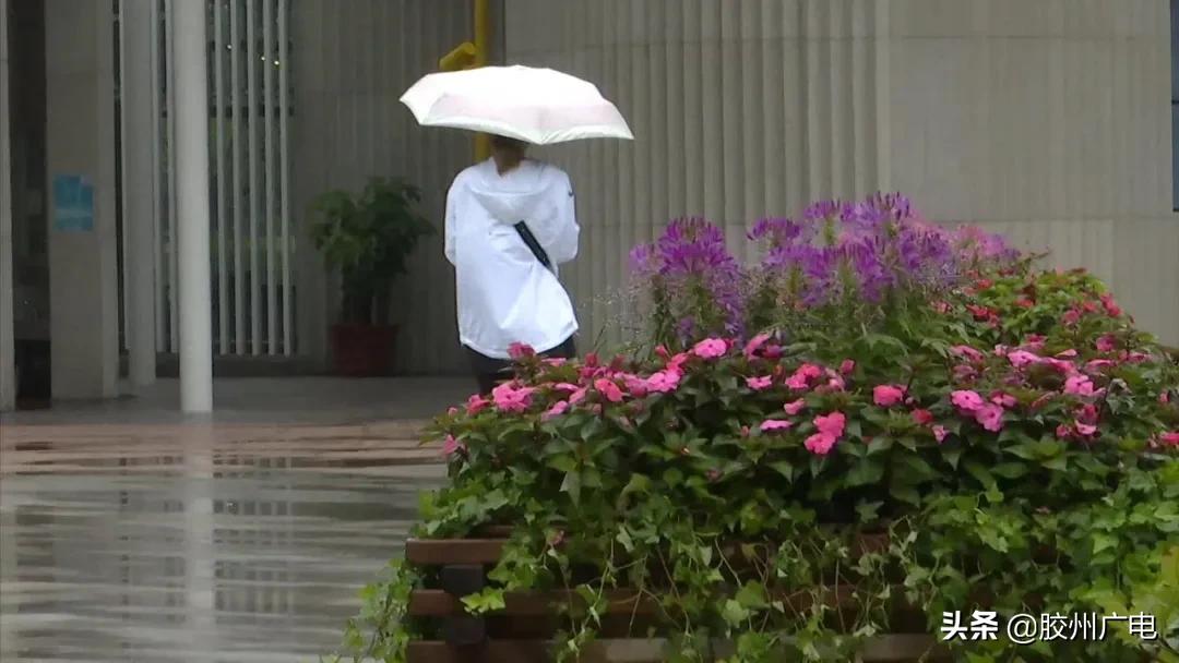 济南女子深陷刷单骗局,女子深陷刷单骗局执迷不悟