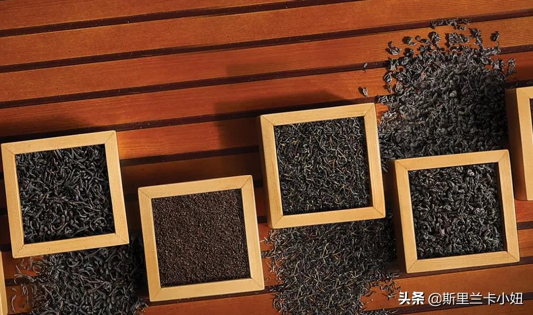 双十一购物狂欢节1万人,双十一加入商品狂欢