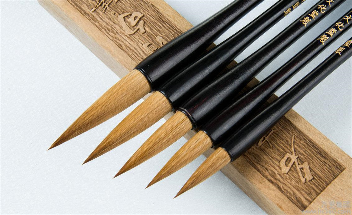 黄鼠狼全身是宝为何无人敢养殖,黄鼠狼浑身都是宝为何无人养殖