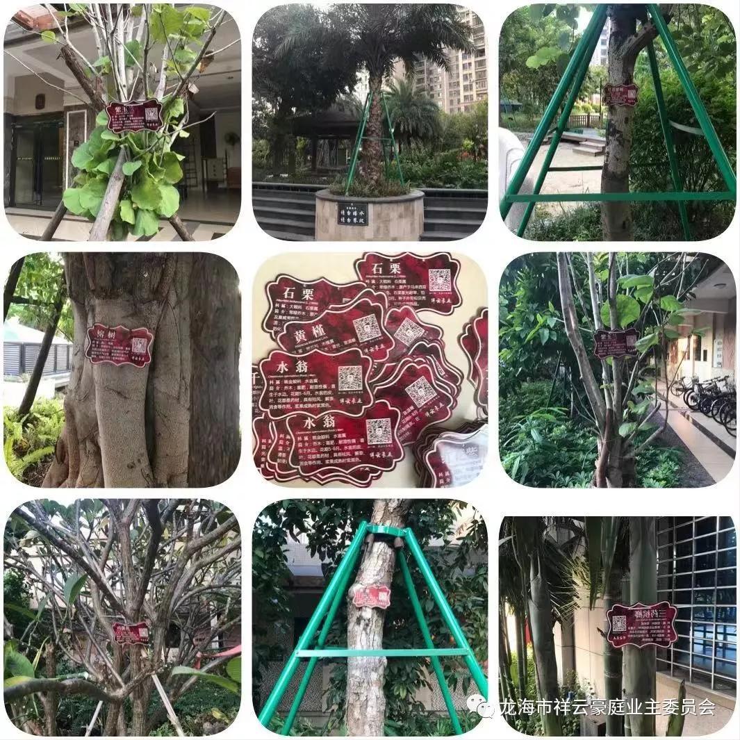 福建漳州石码祥云豪庭小区,龙海石码祥云豪庭117平